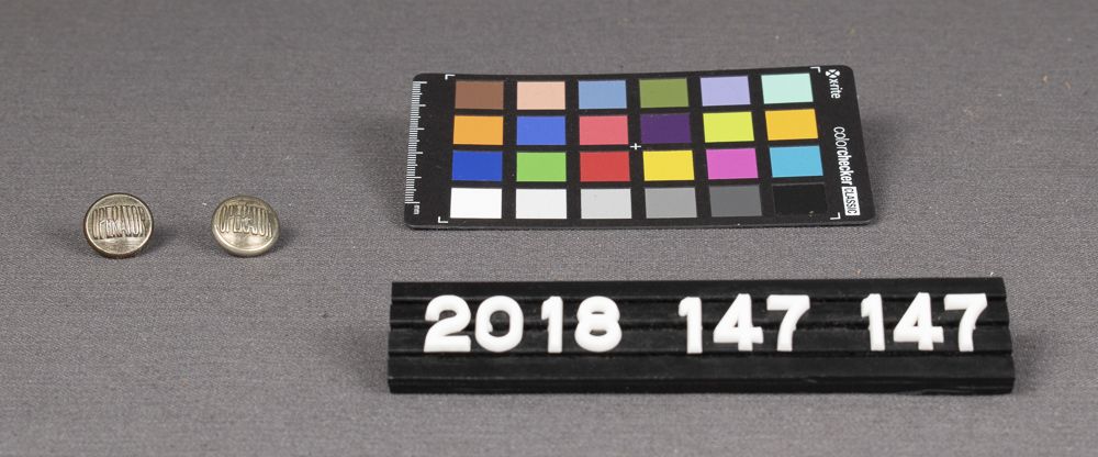 Image representing Buttons, Insignia.