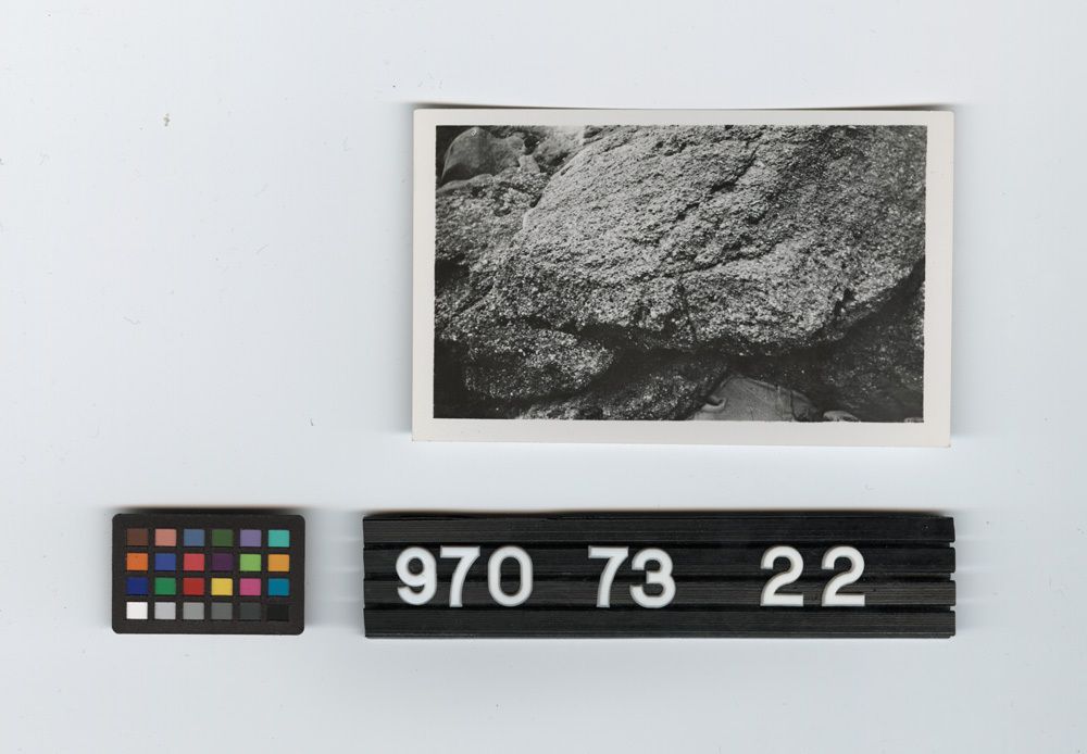 Image representing Print, Photographic.