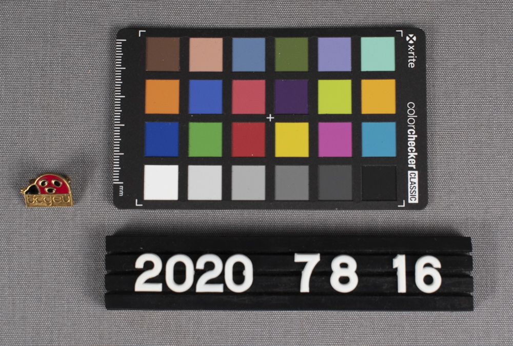 Image representing Pin, Lapel.