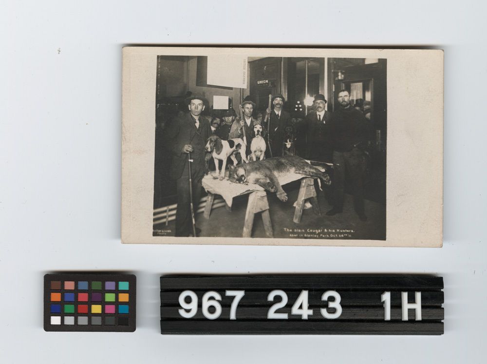 Image représentant Postcard