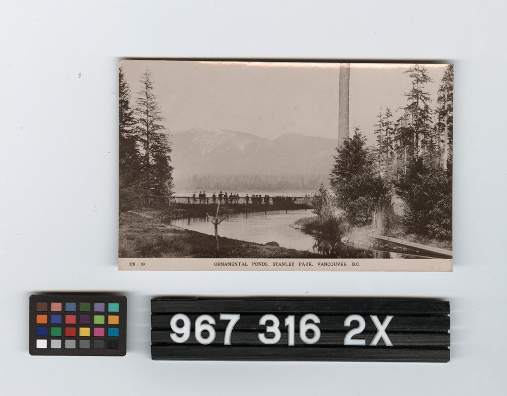 Image representing Postcard.