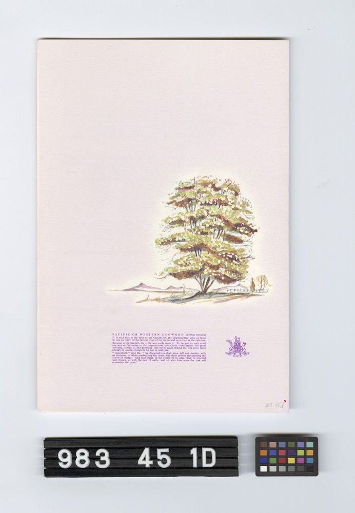 Image représentant Programme, Souvenir