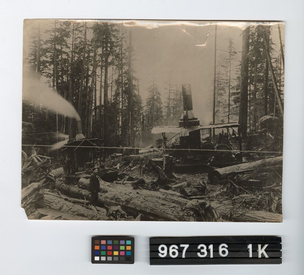 Image representing Print, Photographic.