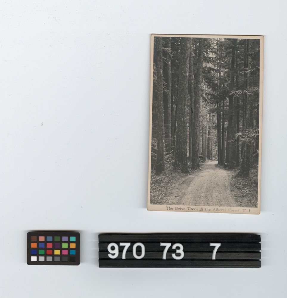 Image representing Postcard.