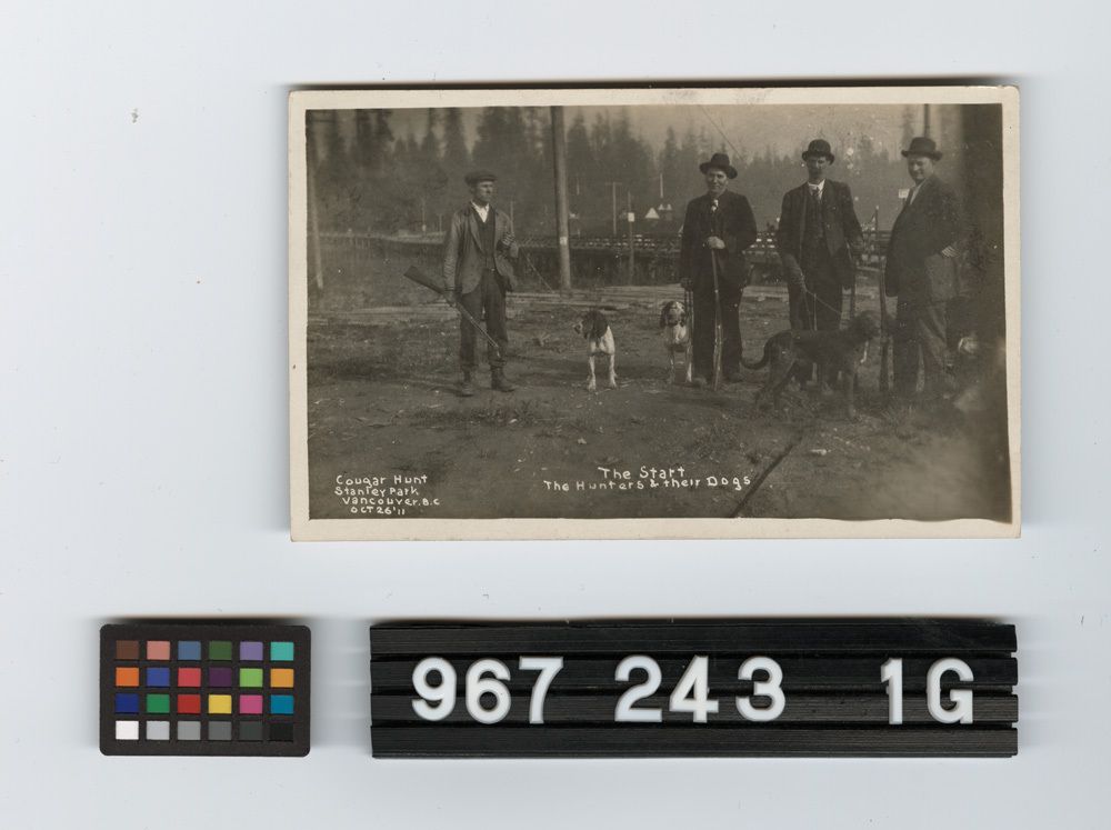 Image représentant Postcard