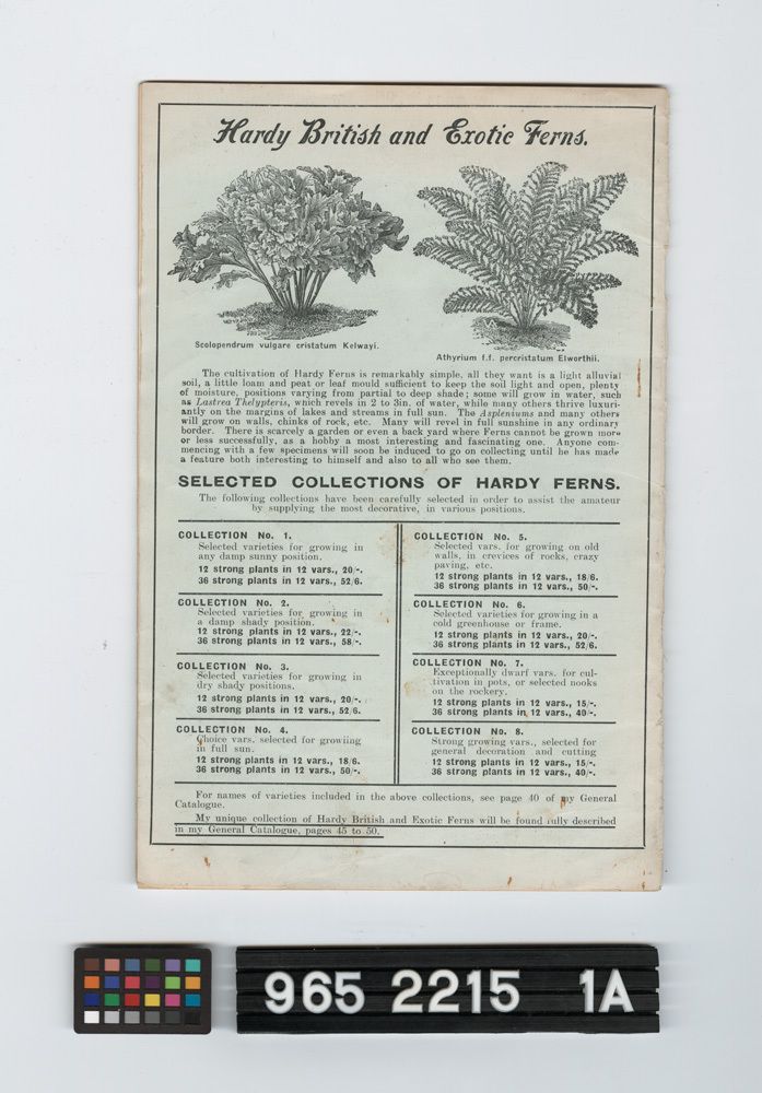 Image representing catalogue.