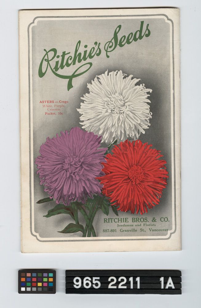 Image representing Catalogue, Seed.