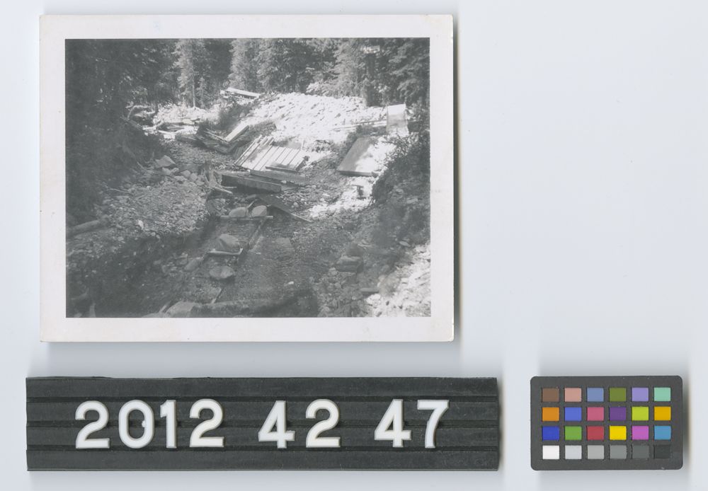 Image representing Print, Photographic.