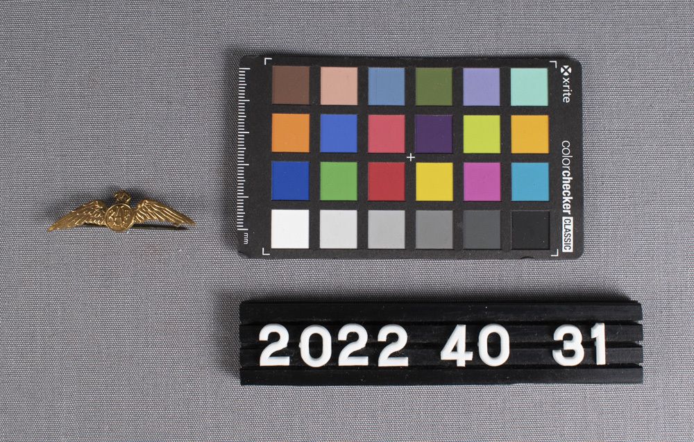 Image representing Pin, Military.
