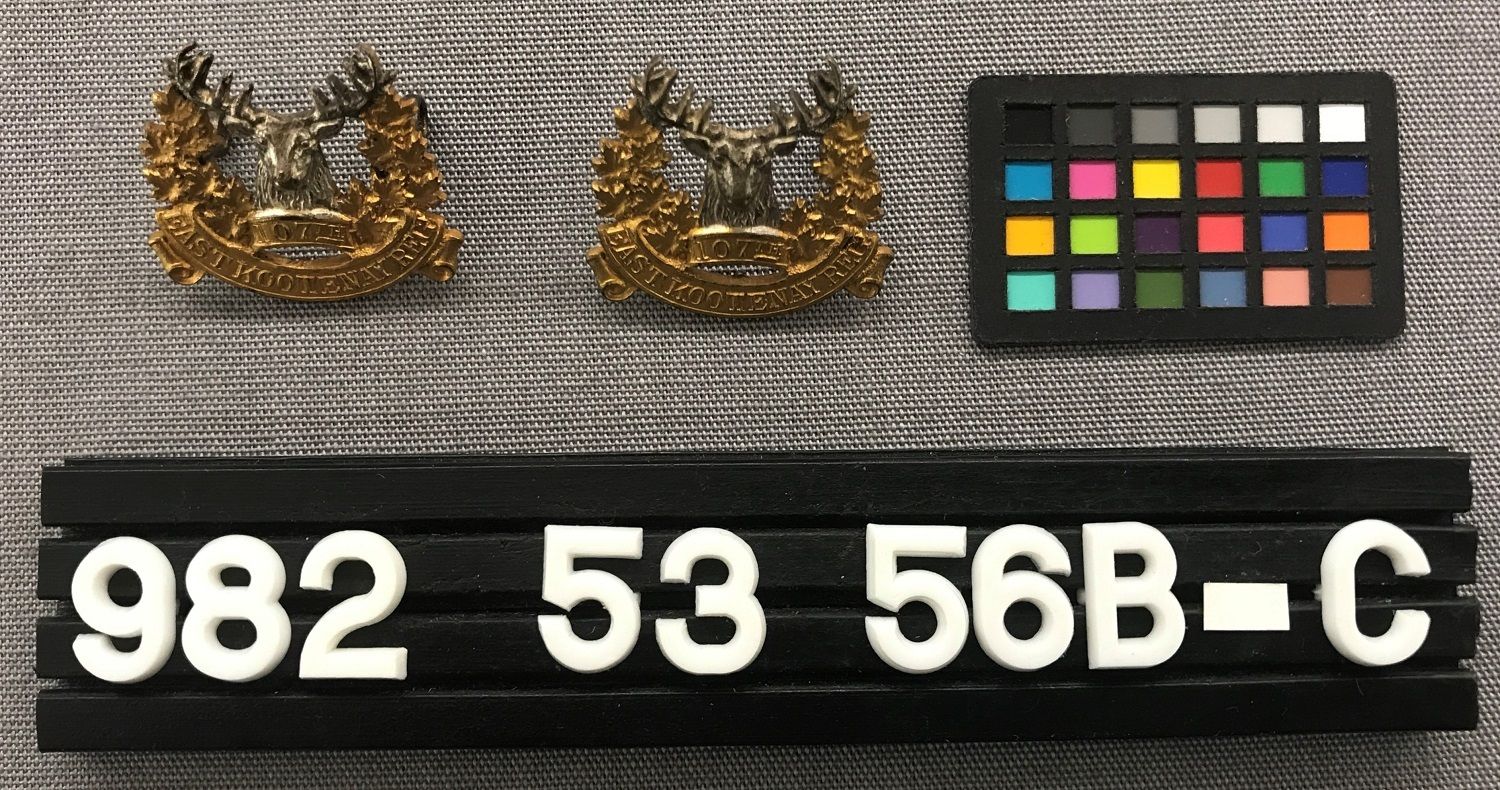 Image representing Badges, Collar.