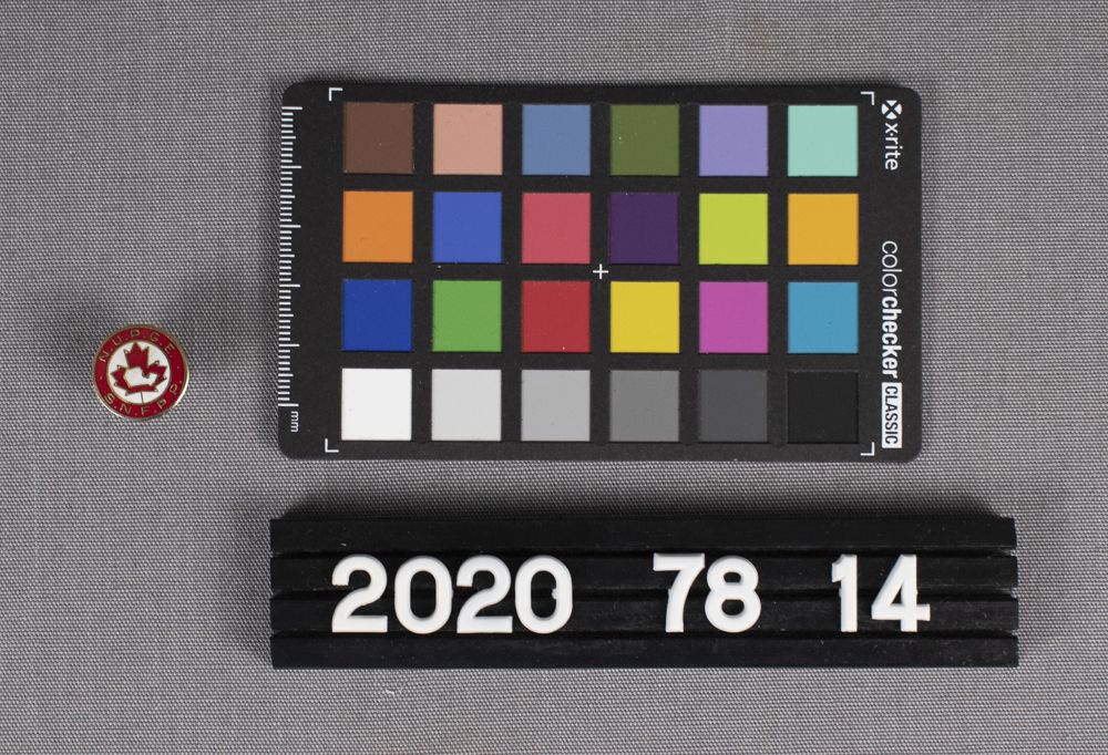 Image representing Pin, Lapel.