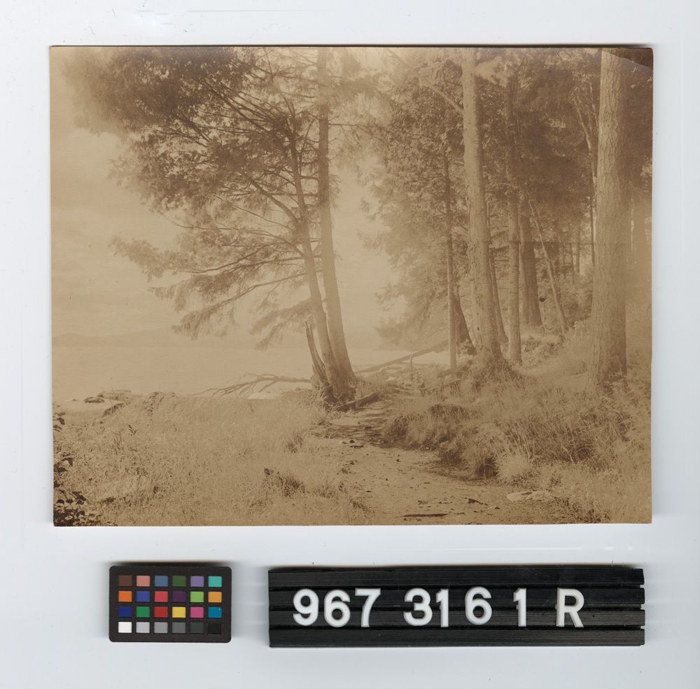 Image representing Print, Photographic.