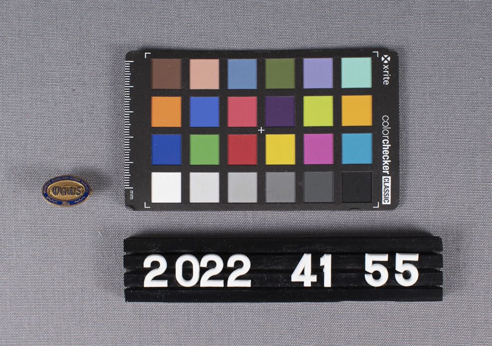 Image representing Pin, Occupational.