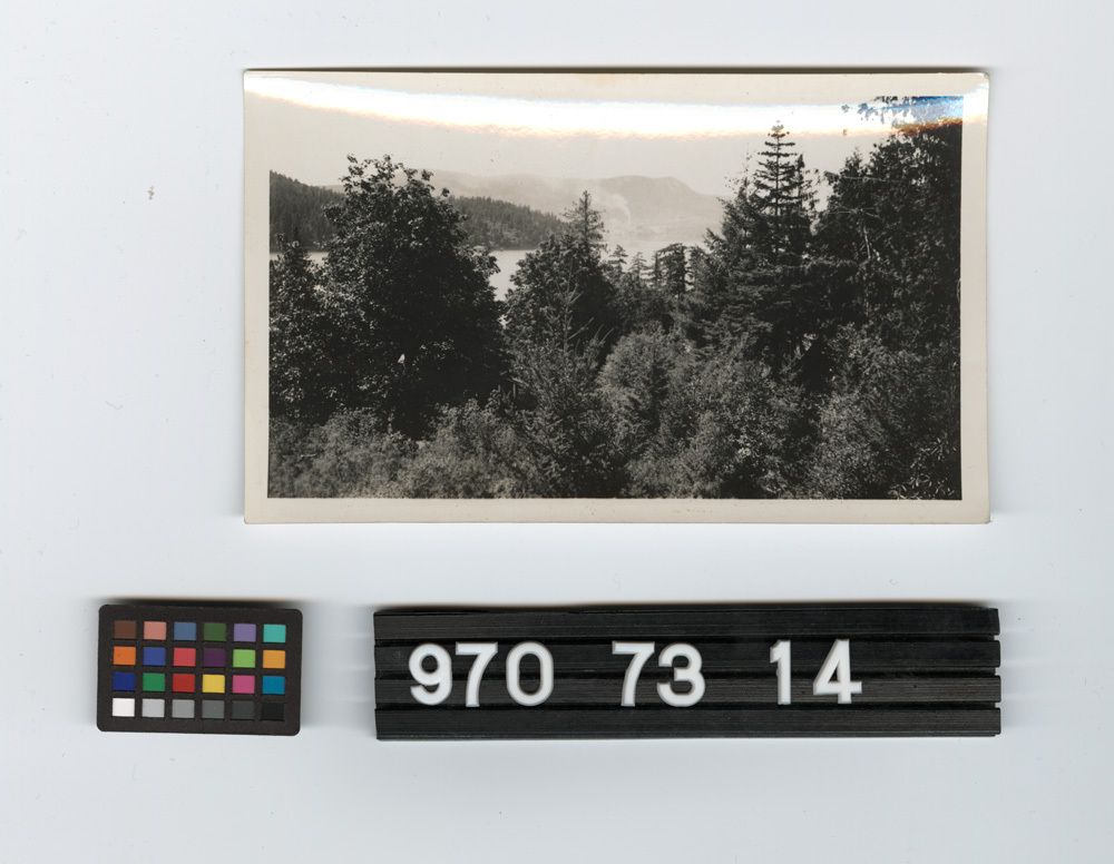 Image representing Print, Photographic.