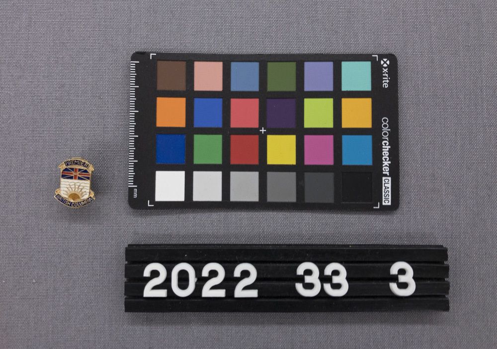 Image representing Pin, Lapel.