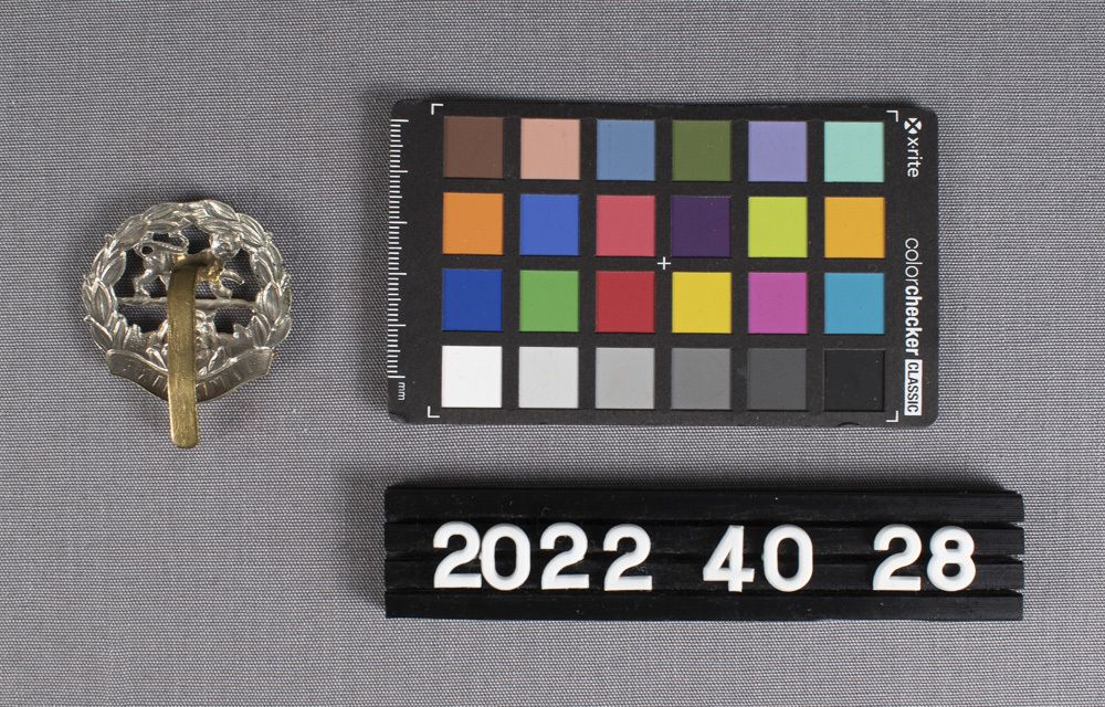 Image representing Badge, Cap.