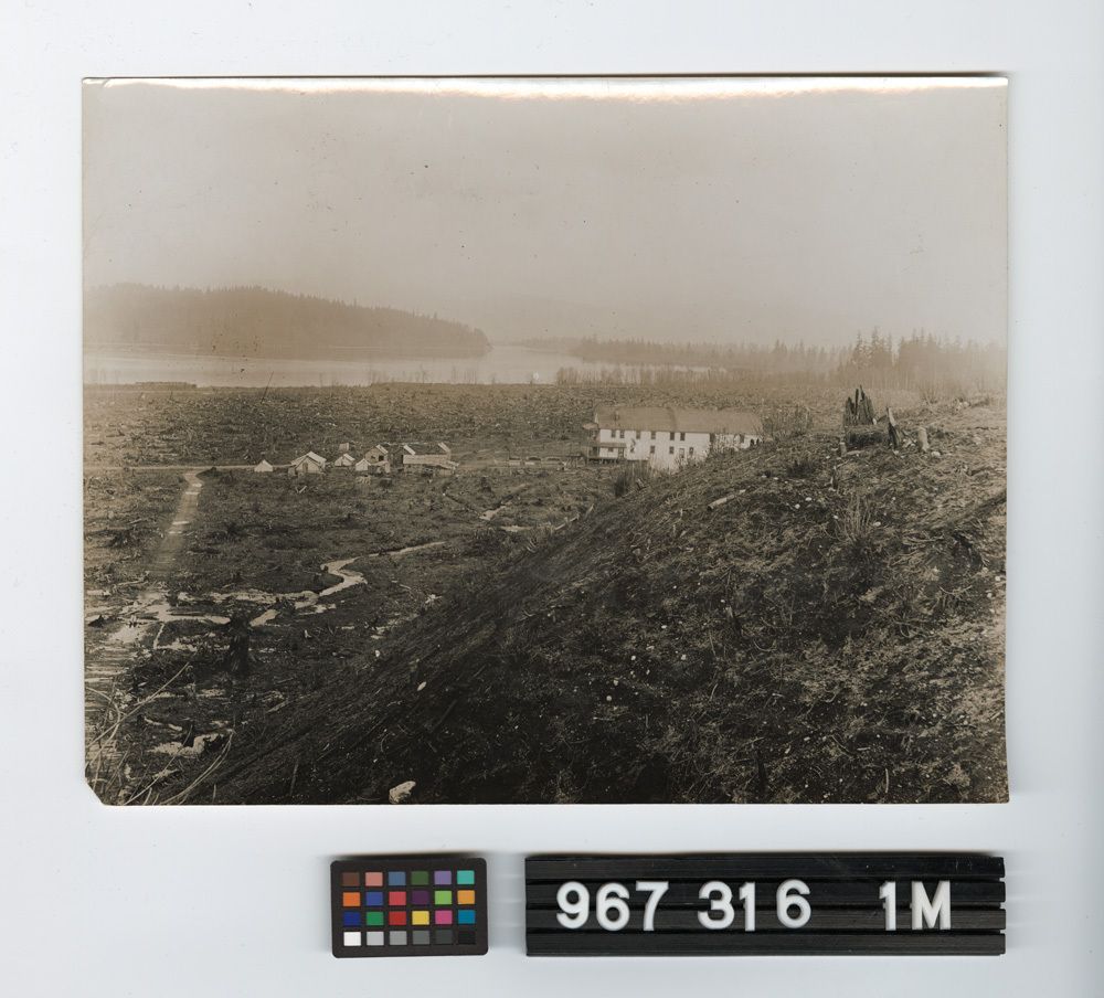 Image representing Print, Photographic.