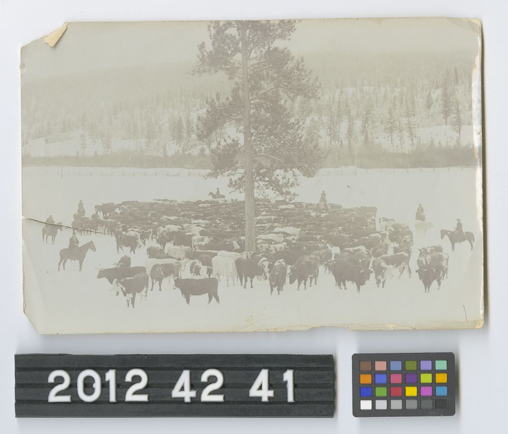 Image representing Print, Photographic.