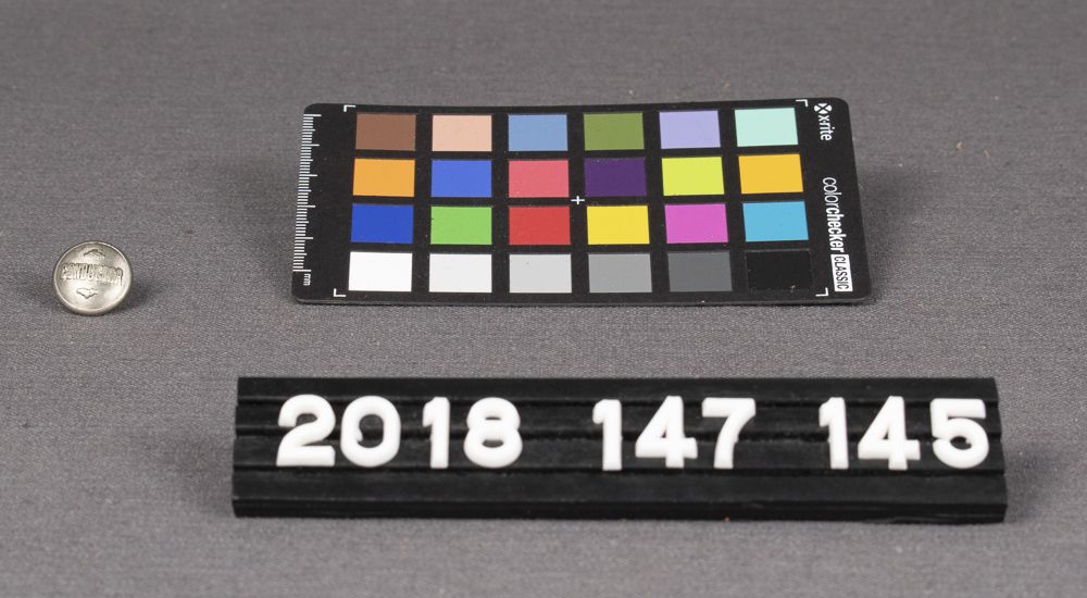 Image representing Button, Insignia.