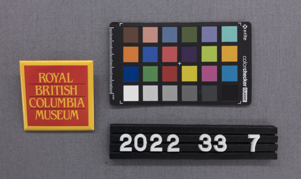 Image representing Pin, Clothing.