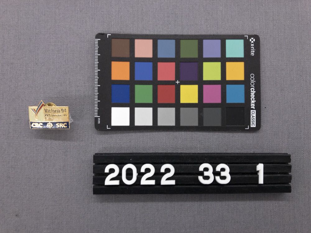 Image representing Pin, Lapel.