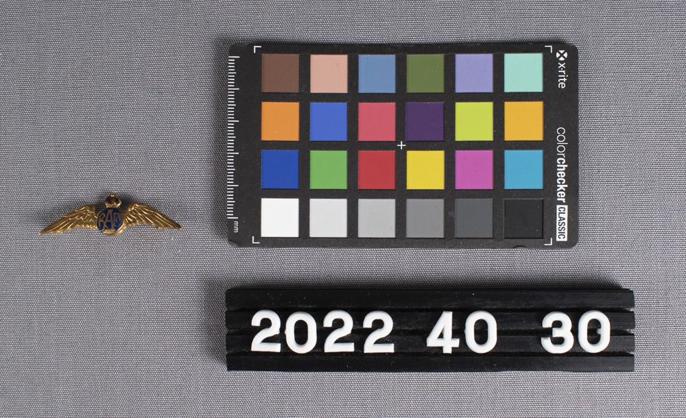 Image representing Pin, Military.
