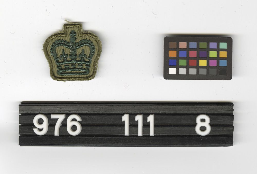 Image representing Badge, Sleeve.