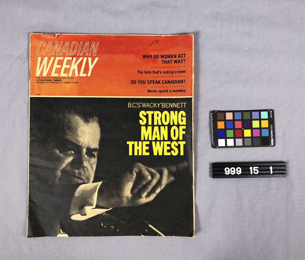 Image representing Insert, Newspaper.