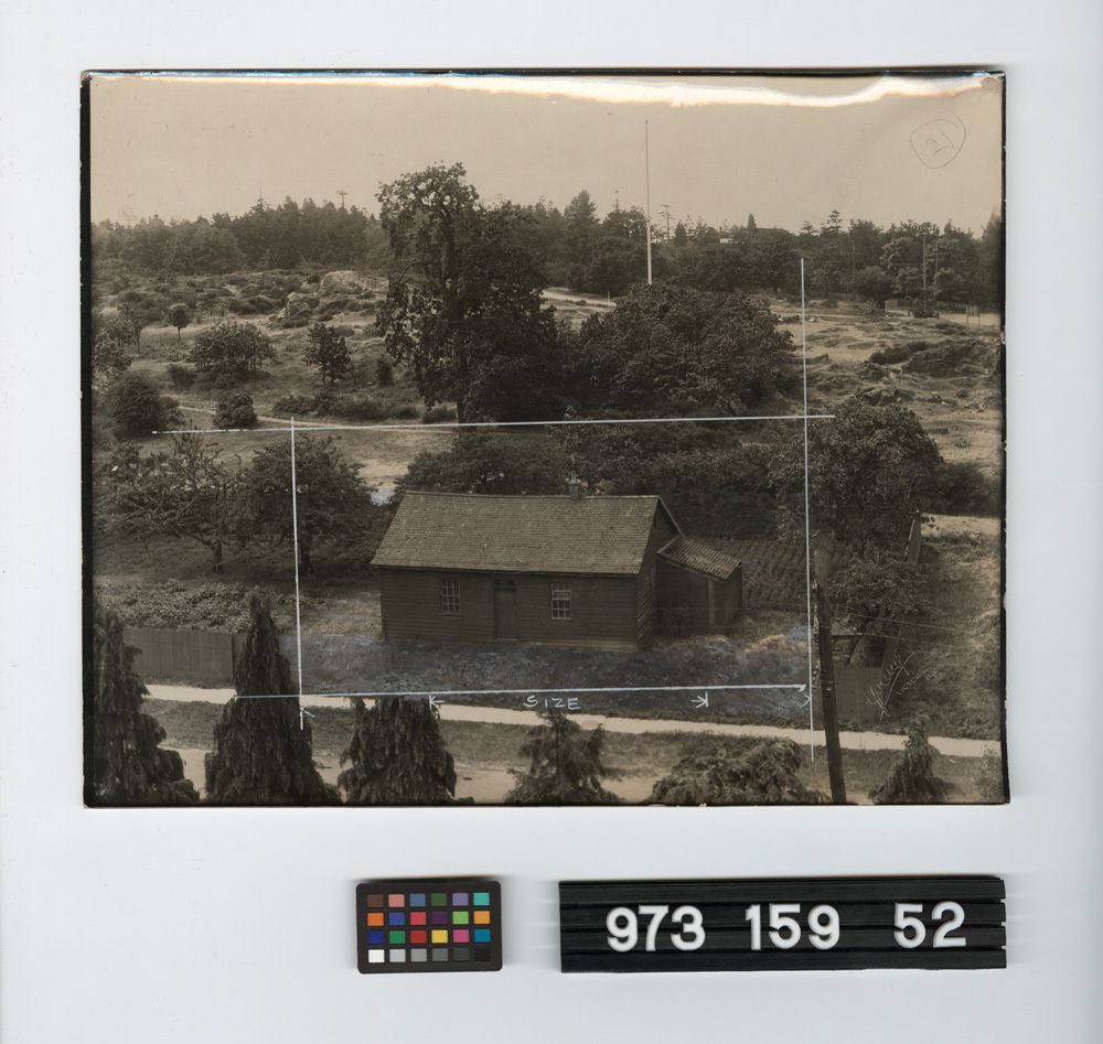 Image representing Print, Photographic.