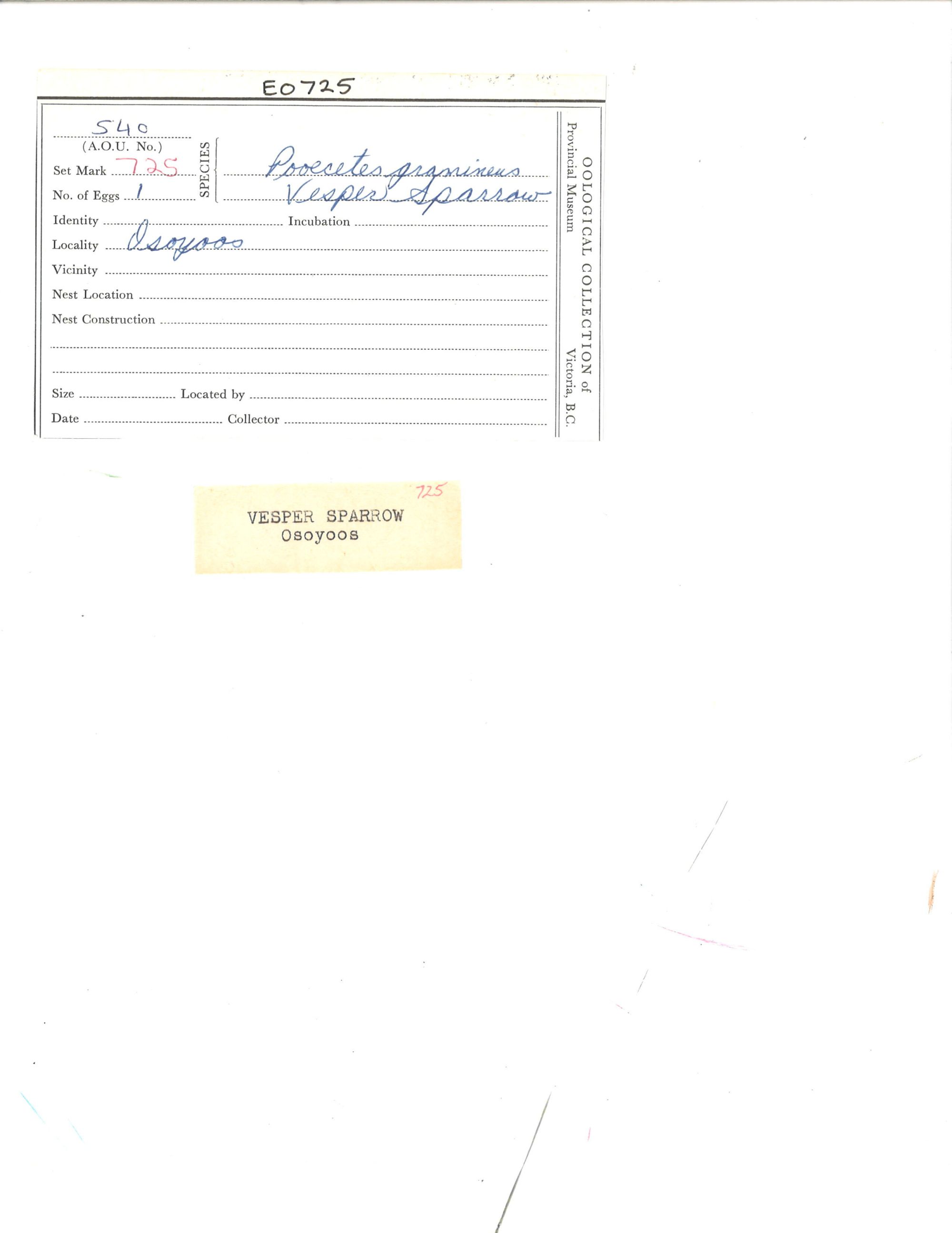 Image representing Pooecetes gramineus.