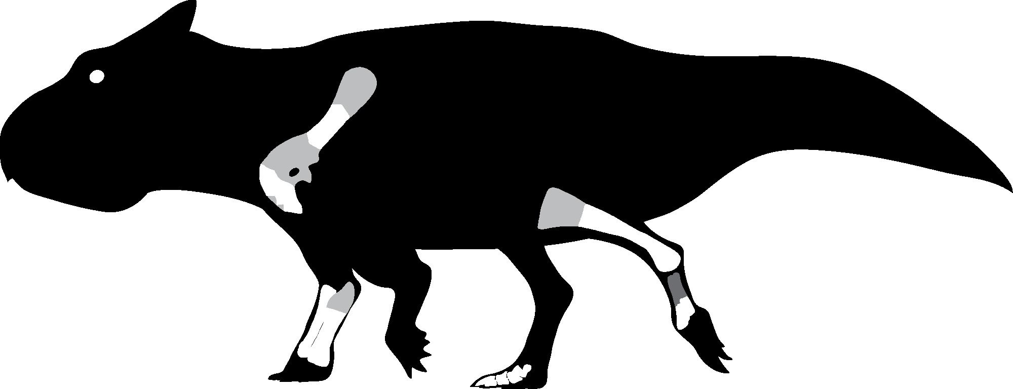Image representing Ferrisaurus sustutensis.