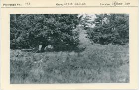 Image representing photograph.