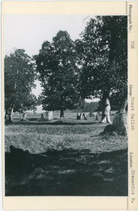 Image representing photograph.