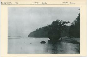 Image representing photograph.