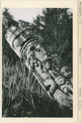 Image representing photograph.