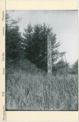 Image representing photograph.