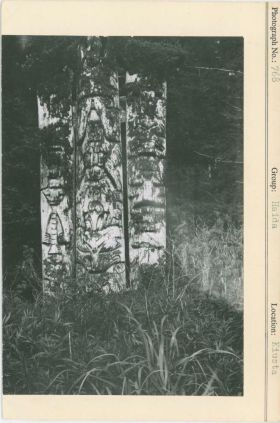 Image representing photograph.