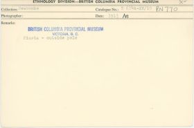 Image representing photograph.