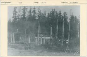 Image representing photograph.