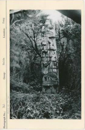 Image representing photograph.