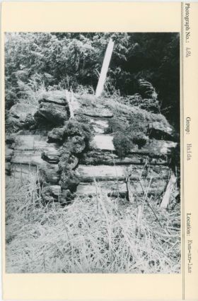 Image representing photograph.