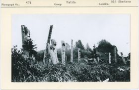 Image representing photograph.