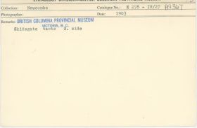 Image representing photograph.