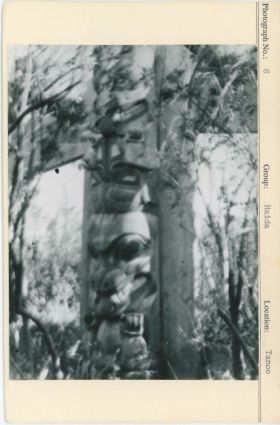 Image representing photograph.
