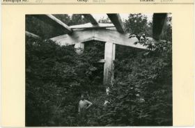 Image representing photograph.