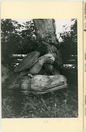 Image representing photograph.