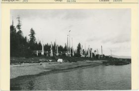 Image representing photograph.