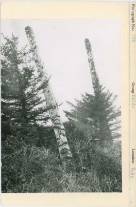 Image representing photograph.