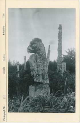 Image representing photograph.