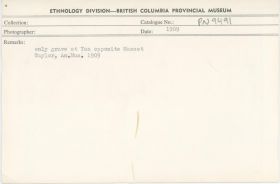 Image representing photograph.